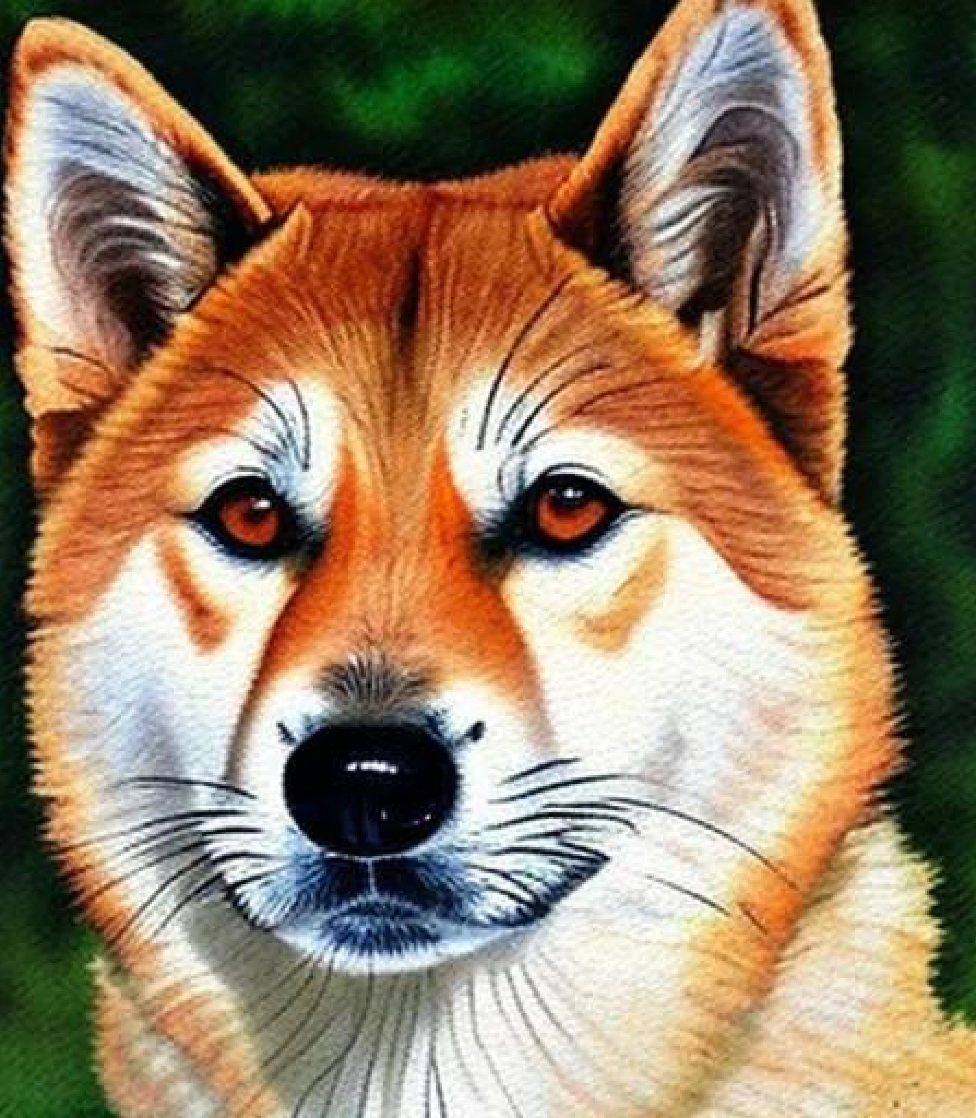 Akita Watercolour painting style created using AI Draw our online AI Art generator Akita in Watercolour painting style created using AI Draw our online AI Art generator