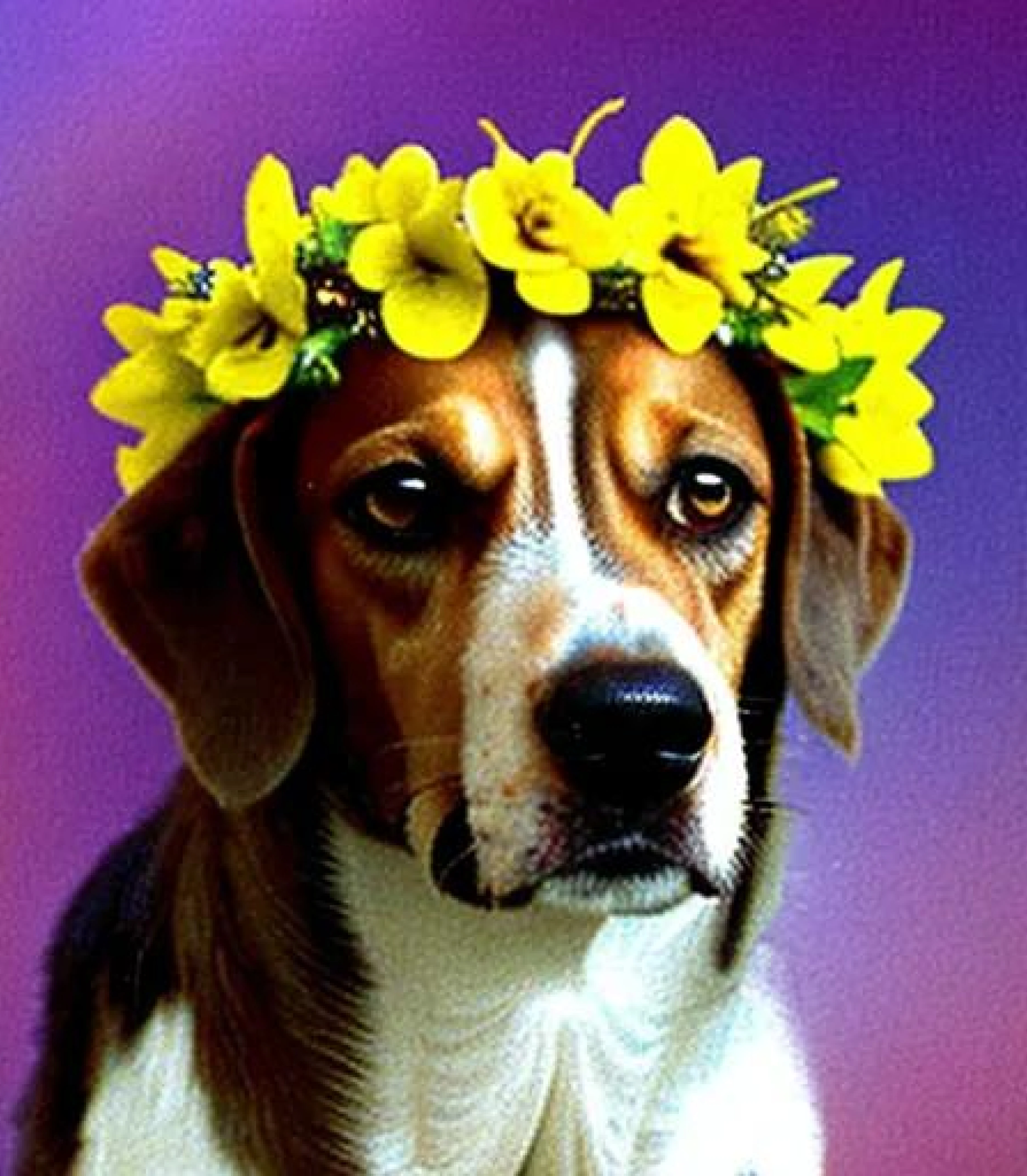 Beagle in Flower crown created using AI Draw our online AI Art generator Beagle in Flower Crown created using AI Draw our online AI Art generator