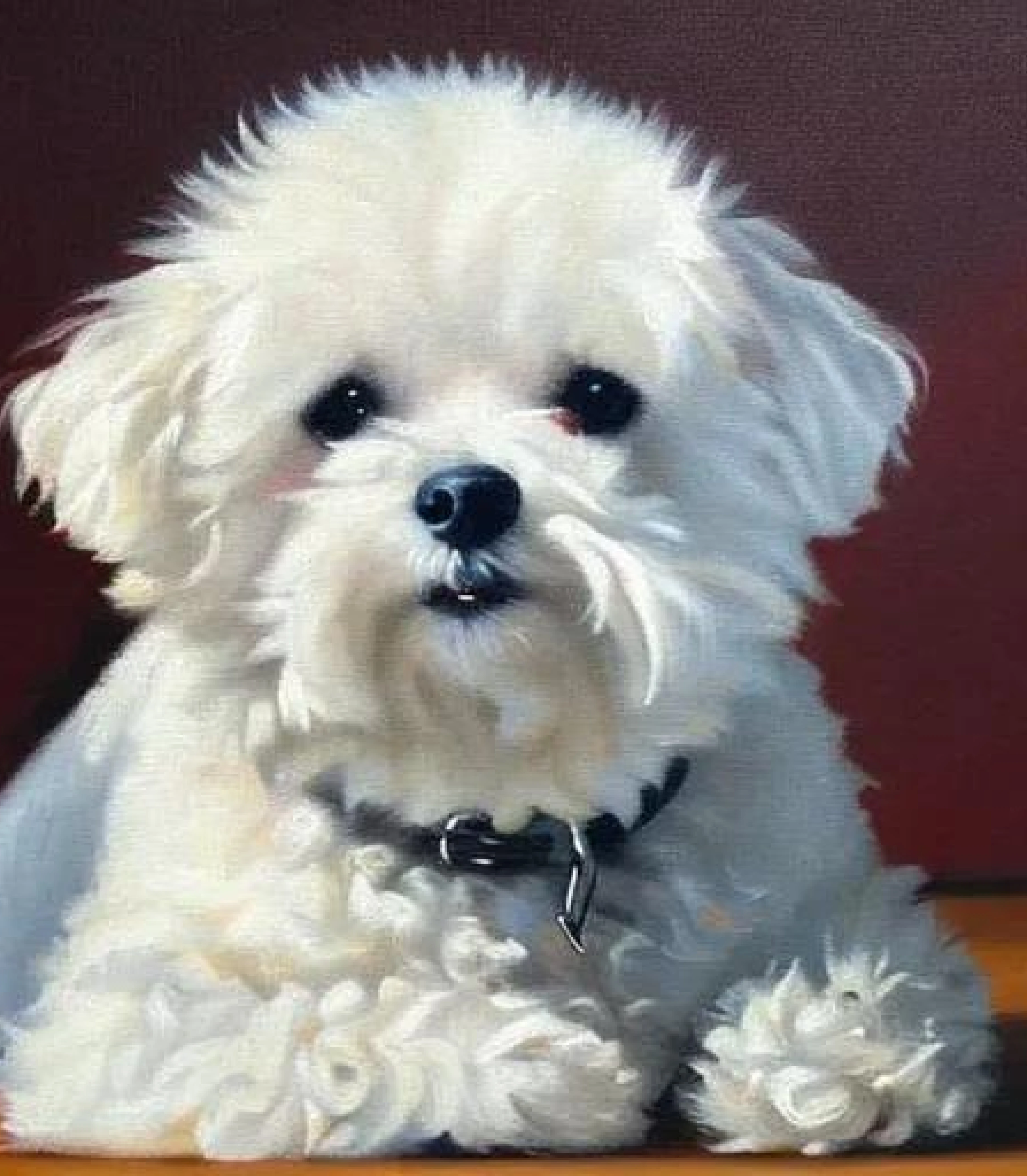 Bichon Frise in Oil on Canvas painting style created using AI Draw our online AI Art generator Bichon Frise in Oil painting style created using AI Draw our online AI Art generator