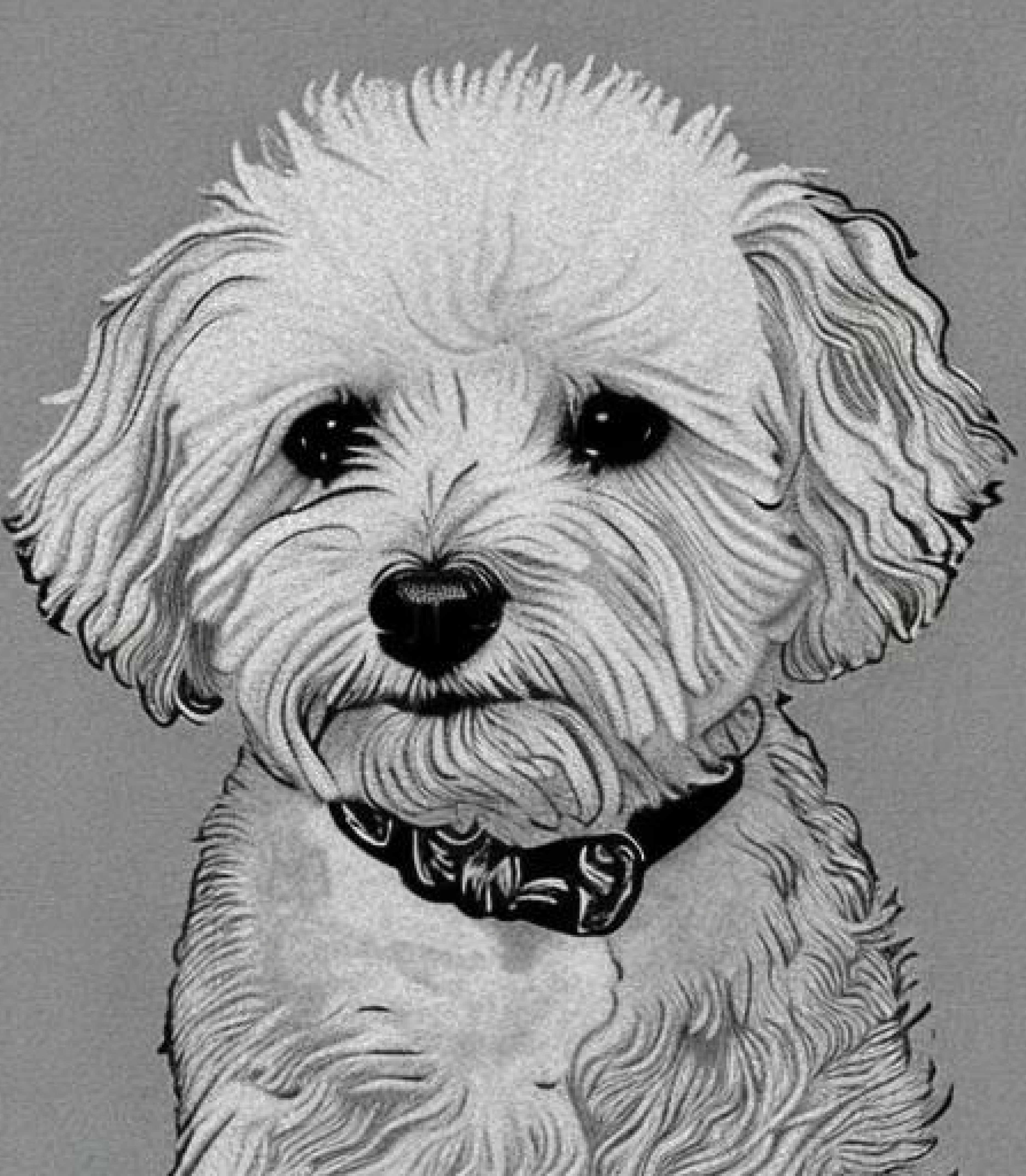 Bichon Frise in Monochrome pencil sketch art created using AI Draw our online AI Art generator Bichon Frise in Monochrome pencil sketch style and Bowtie created using AI Draw our online AI Art generator