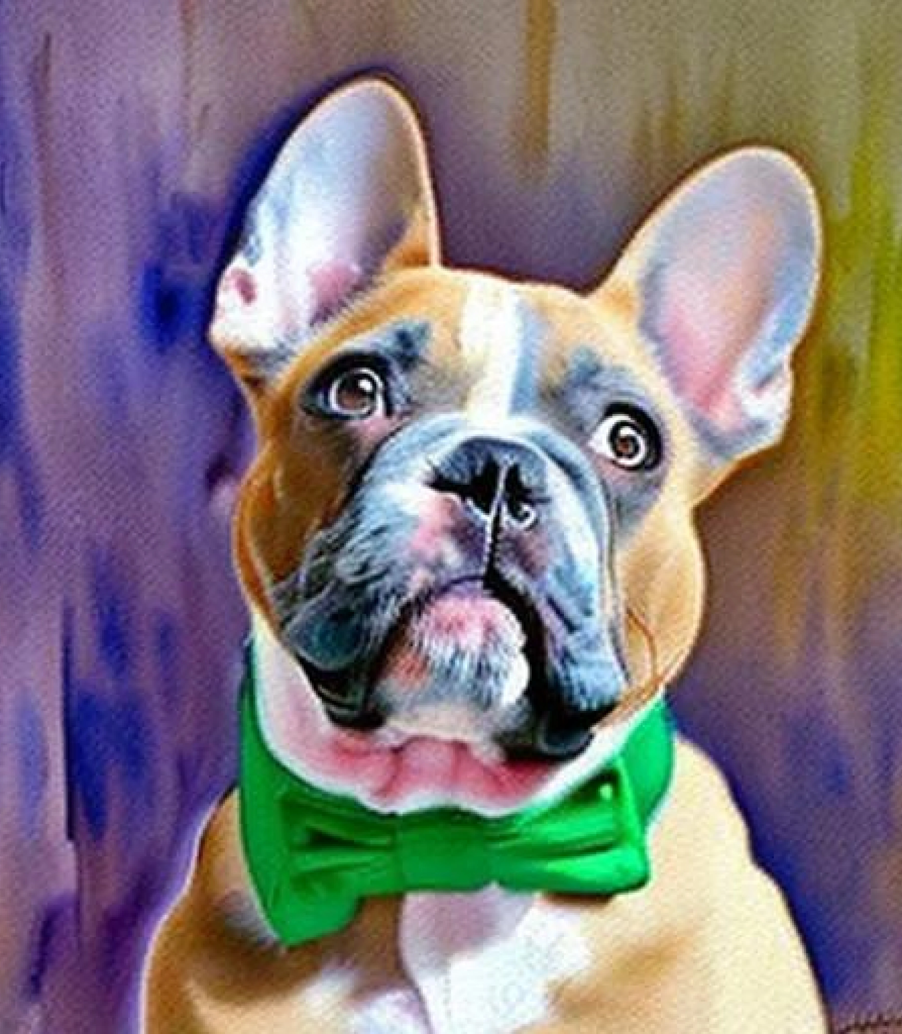 Bulldog in impressionist style created using AI Draw Bulldog in impressionist style created using AI Draw