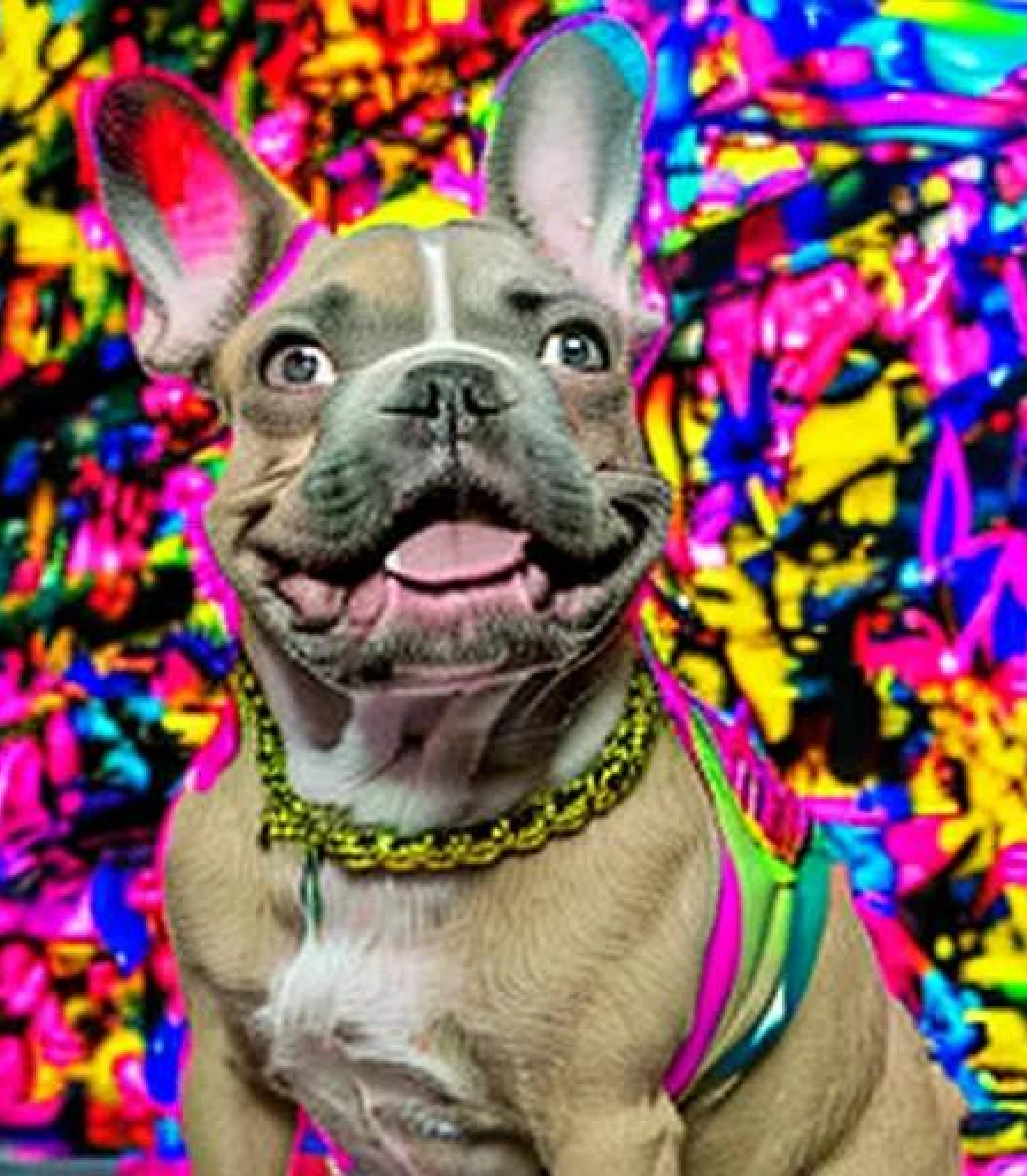 Bulldog in rainbow graffiti style created using AI Draw Bulldog in rainbow graffiti style created using AI Draw