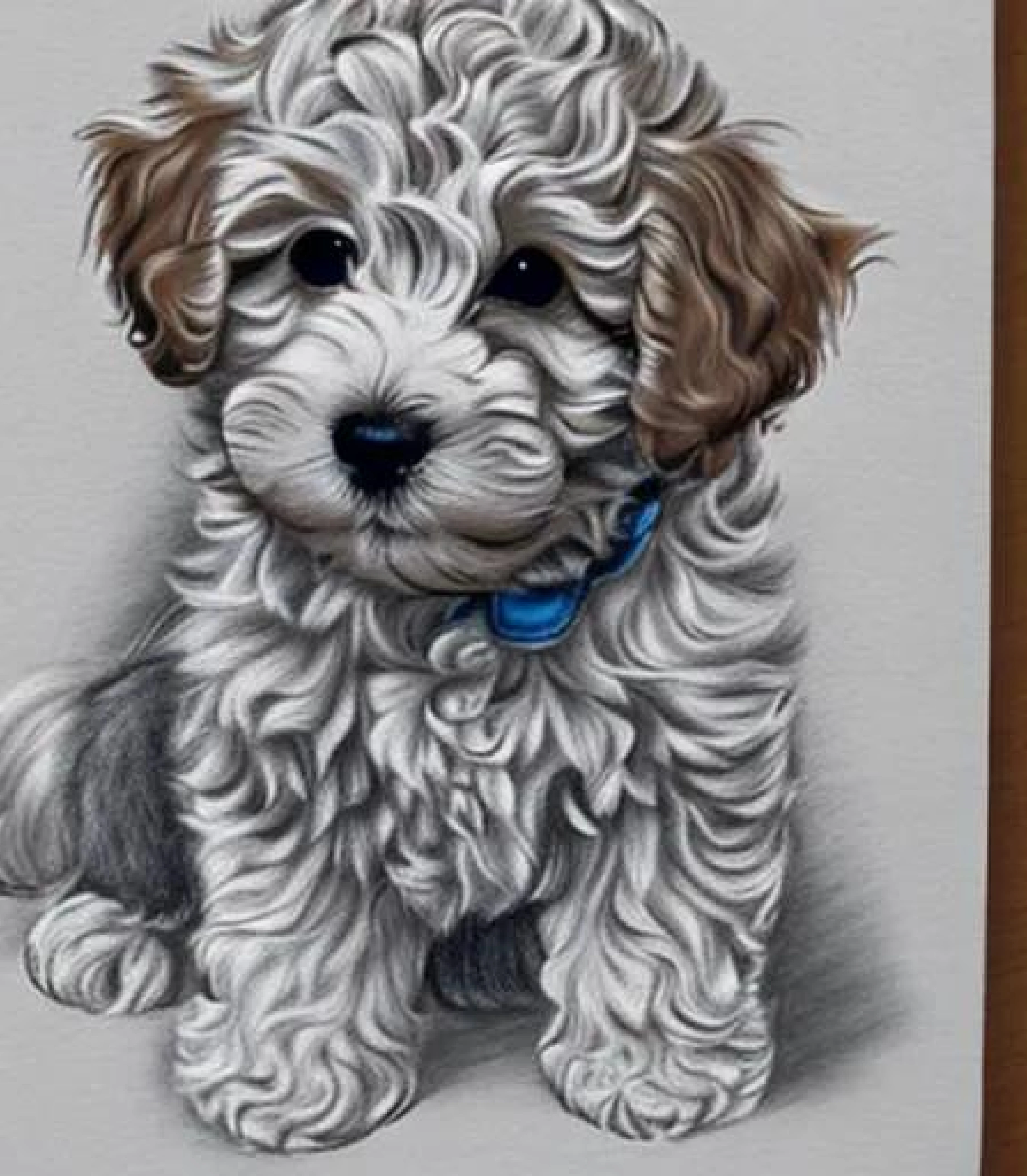 Cockapoo in Coloured pencil sketch created using AI Draw Cockapoo in Coloured pencil sketch created using AI Draw