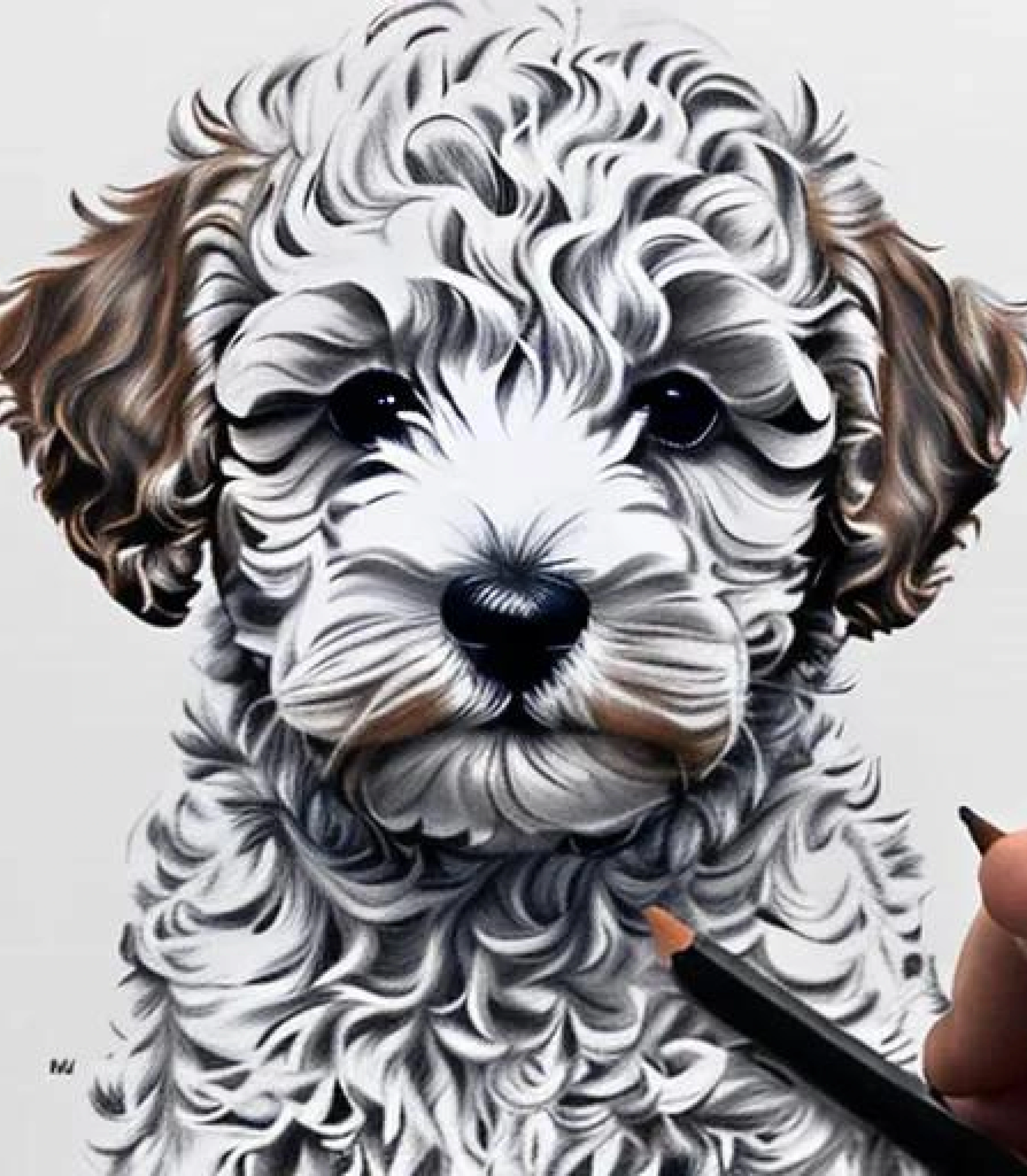 Cockapoo in Realistic Pencil sketch style created using AI Draw Cockapoo in Realistic Pencil sketch style created using AI Draw