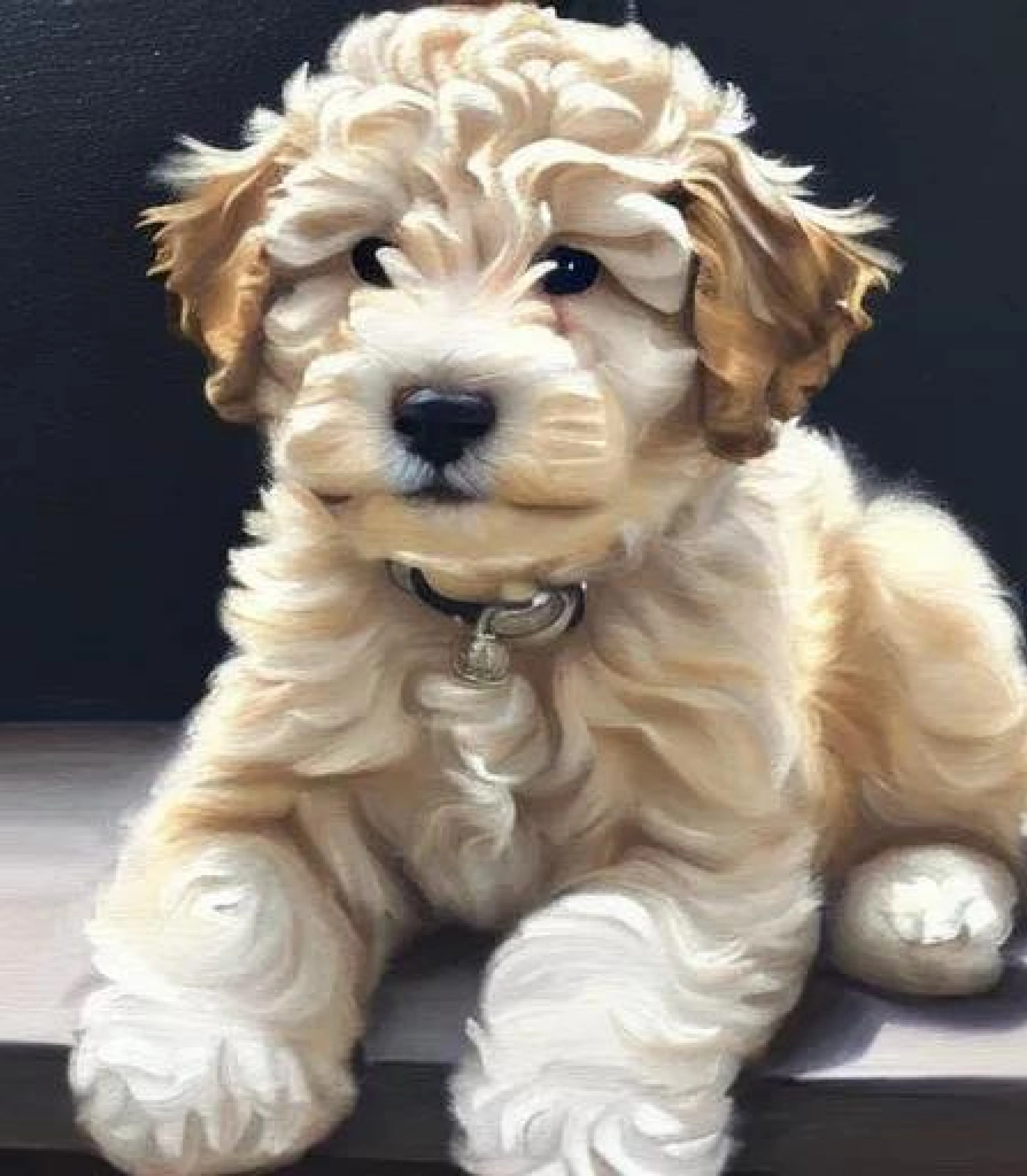 Cockapoo in Oils Painting Created using AI Draw Cockapoo in Oils Painting sketch created using AI Draw