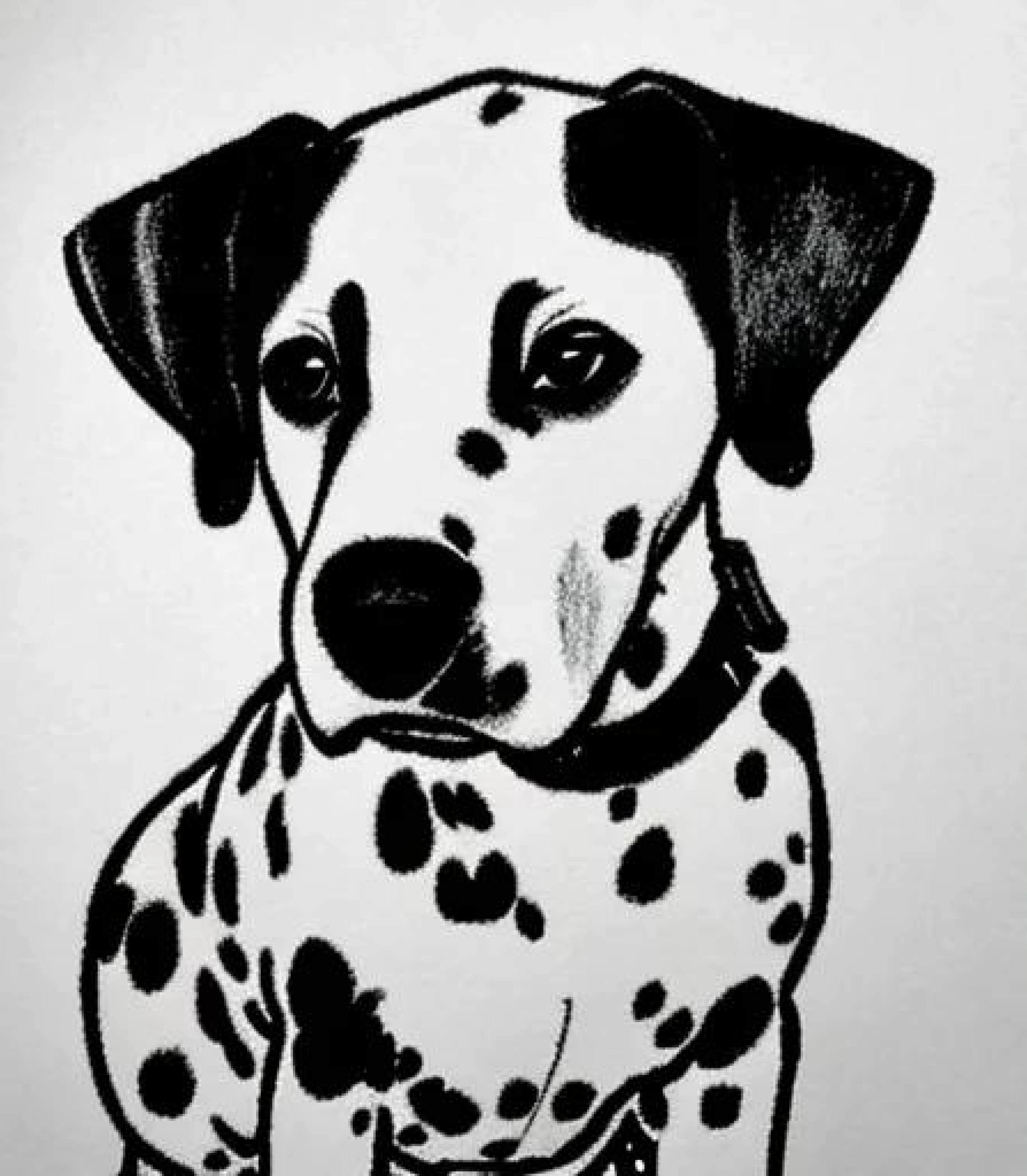 Dalmatian in Monochrome pencil sketch created using AI Draw our online AI Art generator Dalmatian in Monochrome Pencil sketch created using AI Draw our online AI Art generator