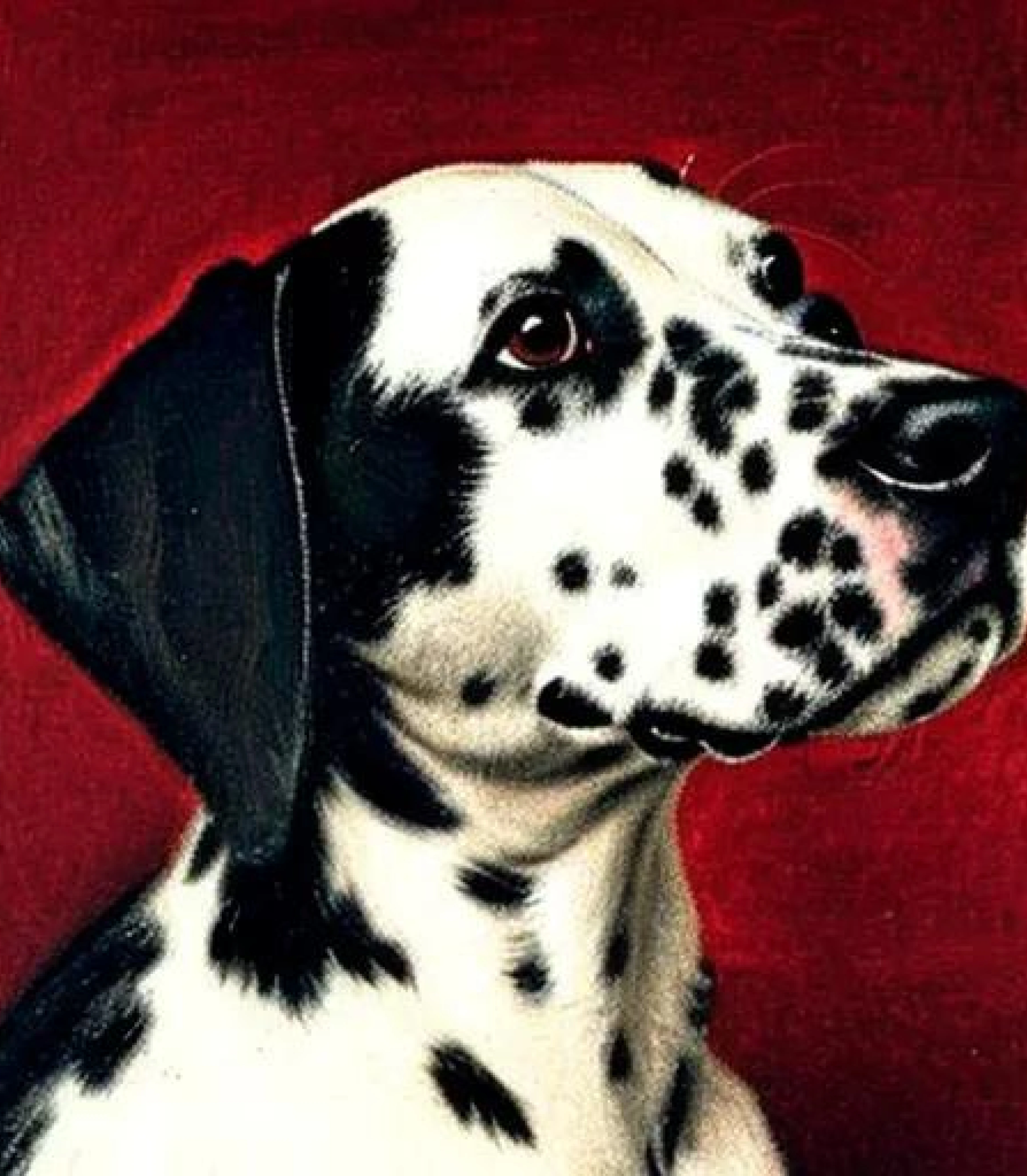 Dalmatian in Realistic Baroque style painting created using AI Draw our online AI Art generator Dalmatian in Realistic Baroque painting style created using AI Draw our online AI Art generator