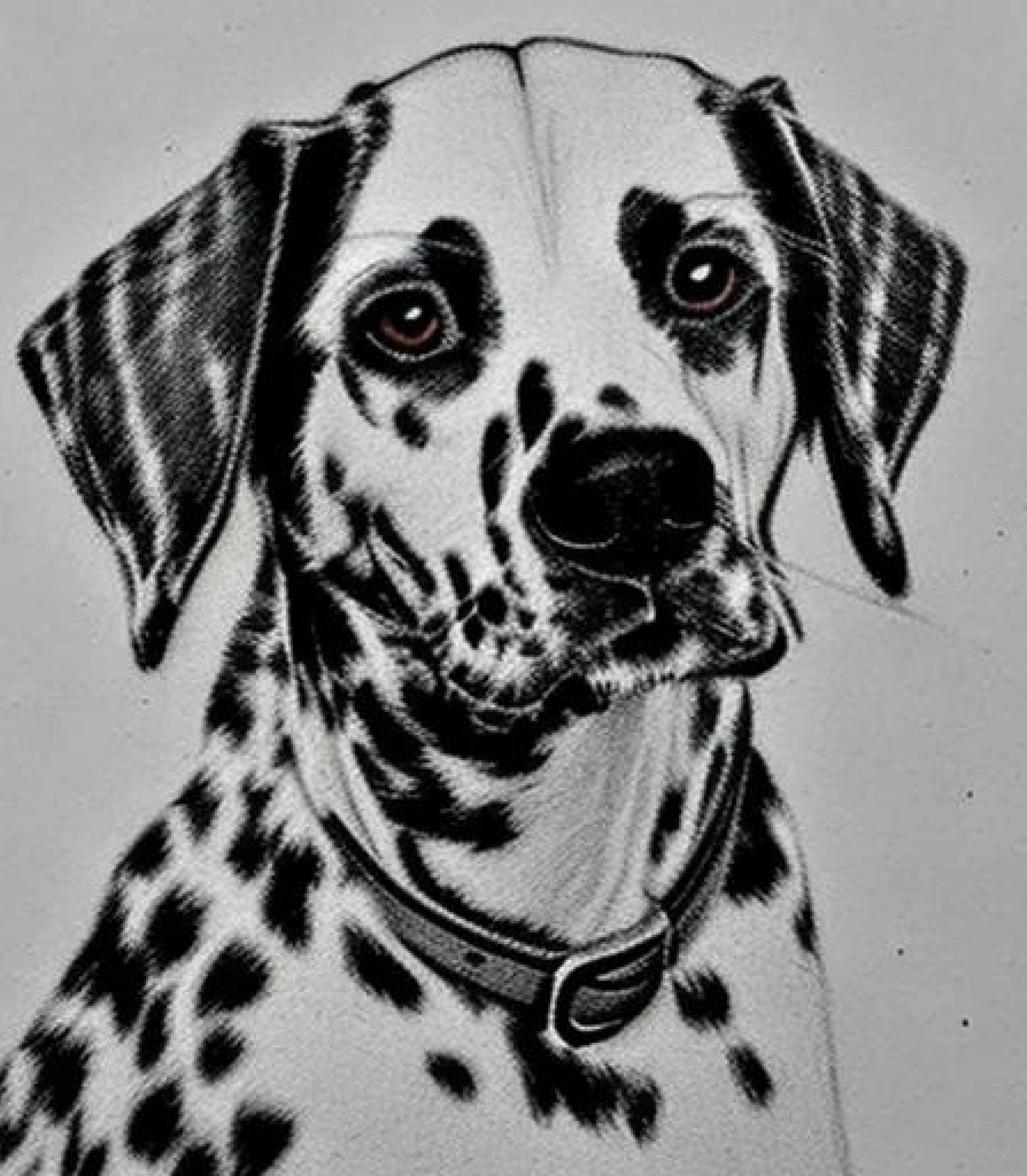 Dalmatian in Stunning Pencil sketch created using AI Draw our online AI Art generator Dalmatian in Stunning coloured pencil sketch created using AI Draw our online AI Art generator