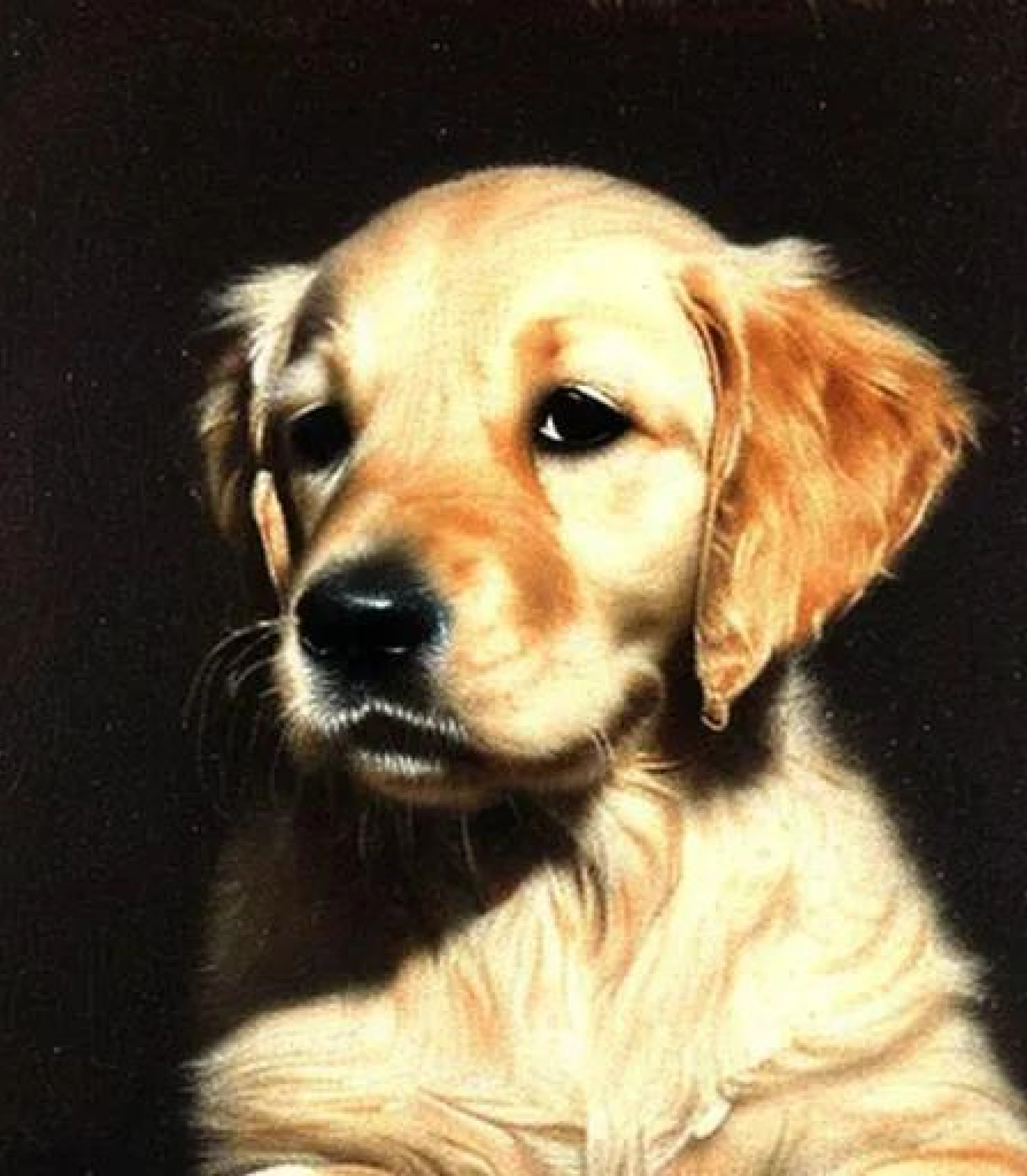Golden Retriever in Baroque painting style created using AI Draw our online AI Art generator Golden Retriever in Baroque painting style created using AI Draw our online AI Art generator