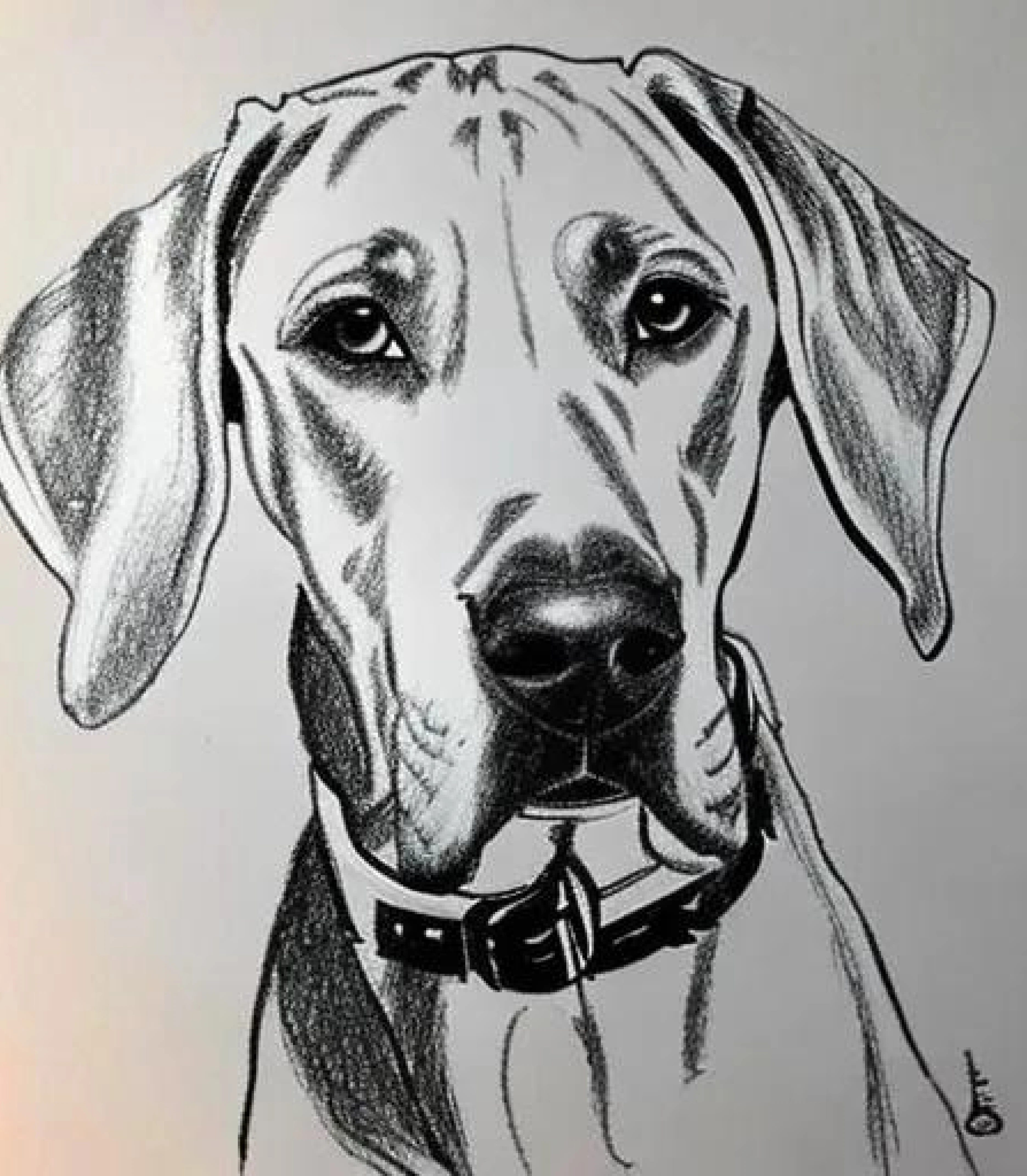 Great Dane in Realistic Pencil sketch style created using AI Draw our AI Art generator Great Dane in Realistic Pencil sketch style created using AI Draw our online AI Art generator