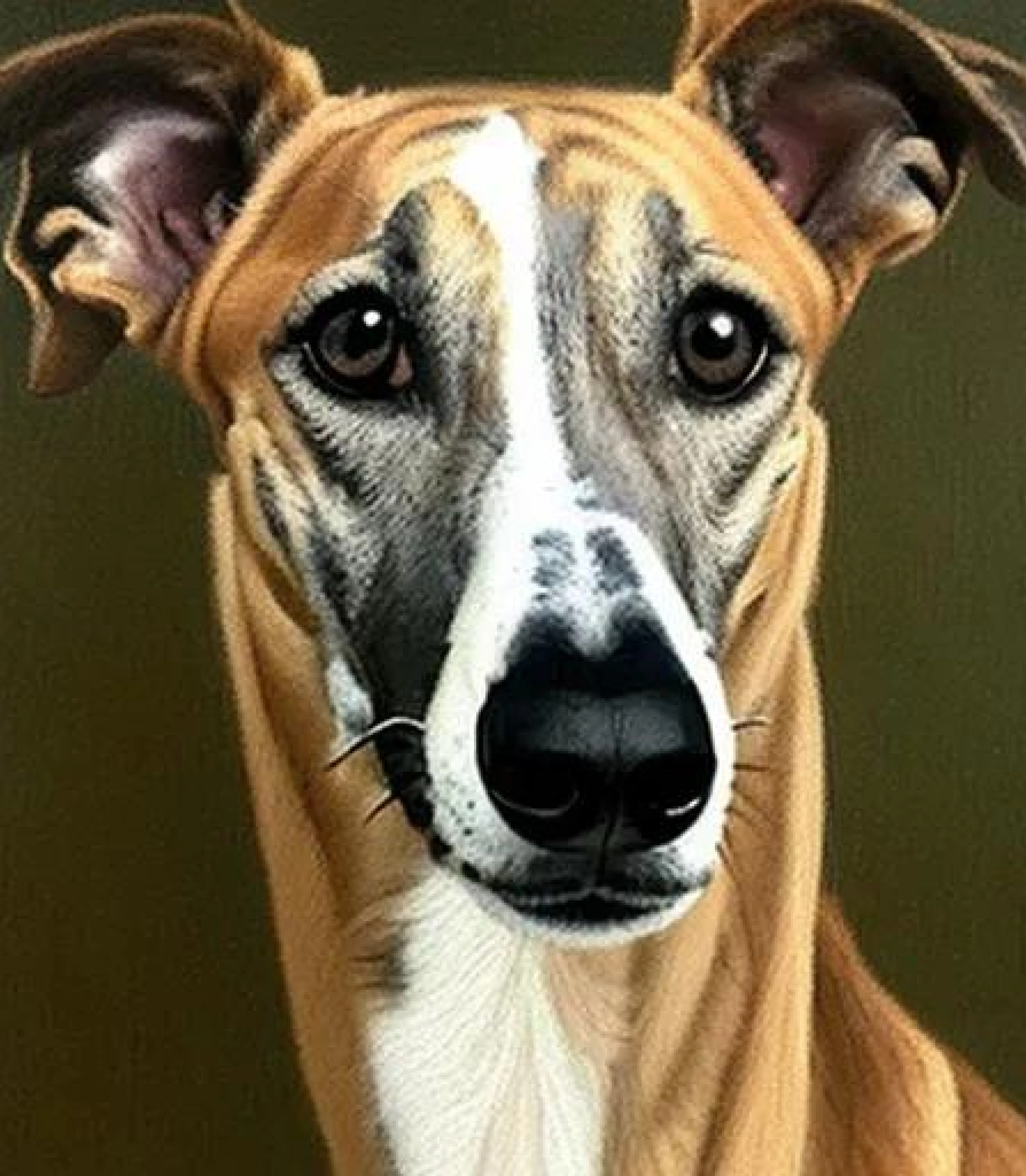 GreyHound in Baroque style created using AI Draw our online AI Art generator GreyHound in Baroque painting style created using AI Draw our online AI Art generator