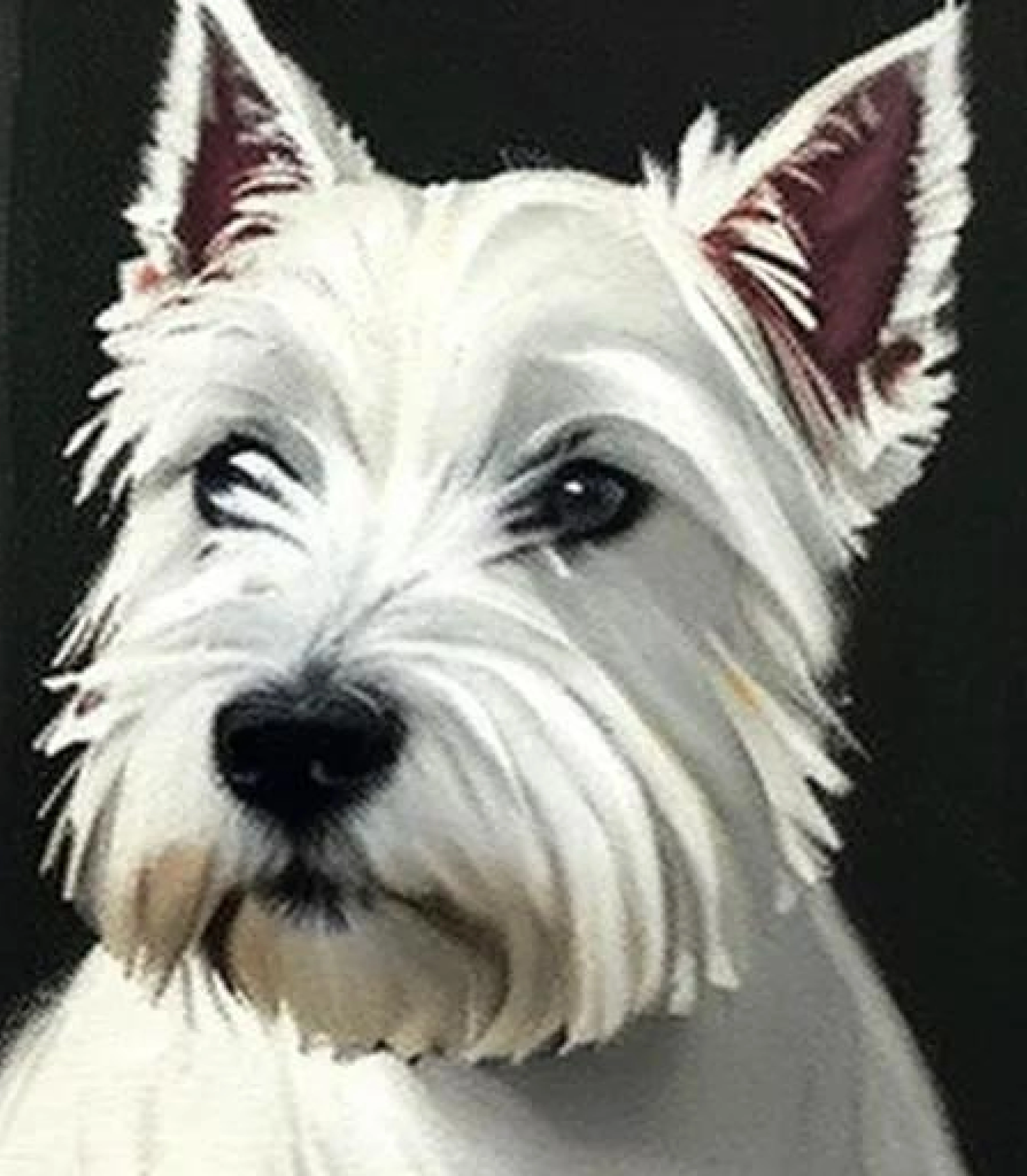 West Highland Terrier in Baroque style created using AI Draw our online AI Art generator West Highland Terrier in Baroque painting style created using AI Draw our online AI Art generator