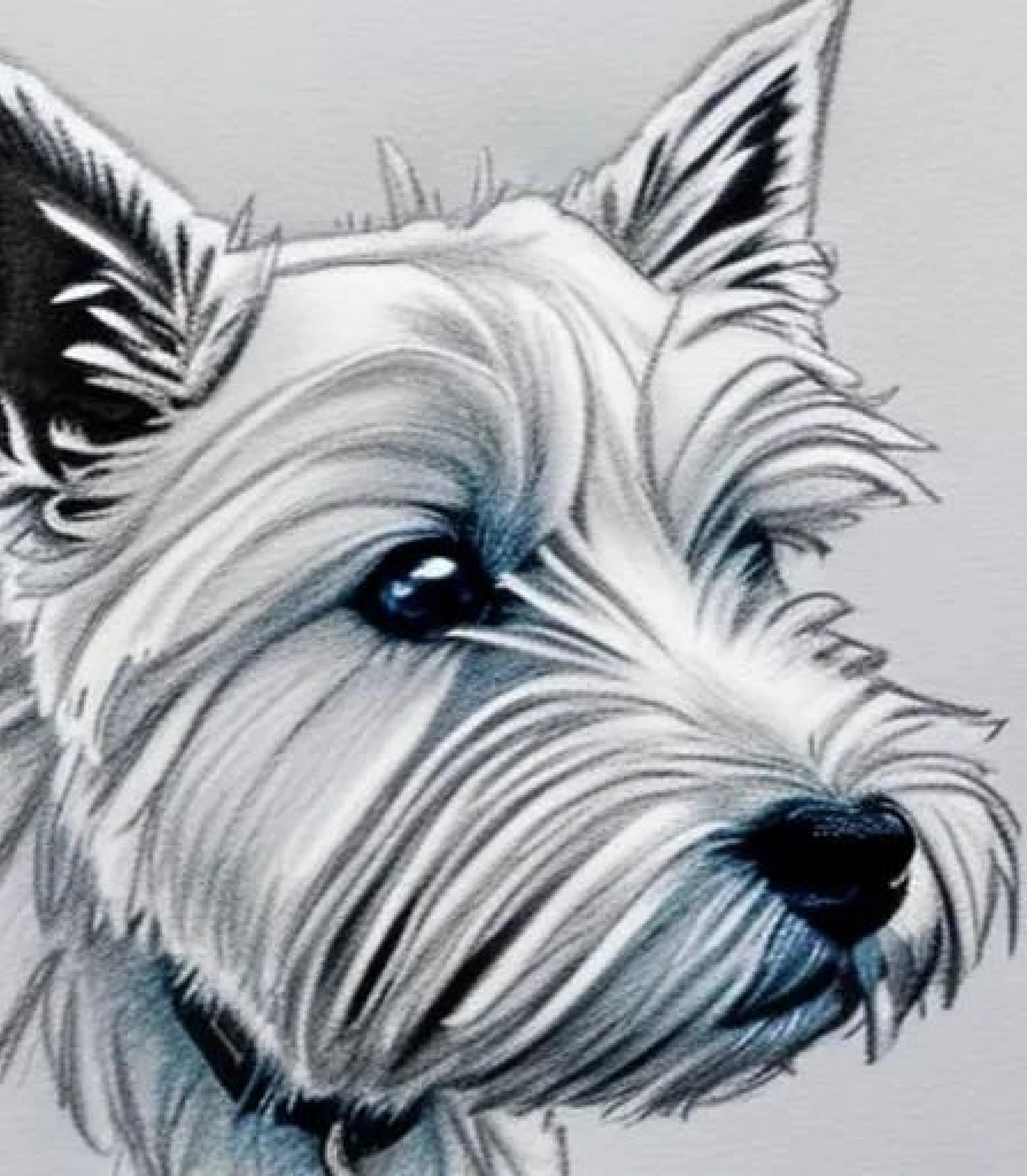 West Highland Terrier in Monochrome pencil sketch art created using AI Draw our online AI Art generator West Highland Terrier in Monochrome pencil sketch style and Bowtie created using AI Draw our online AI Art generator