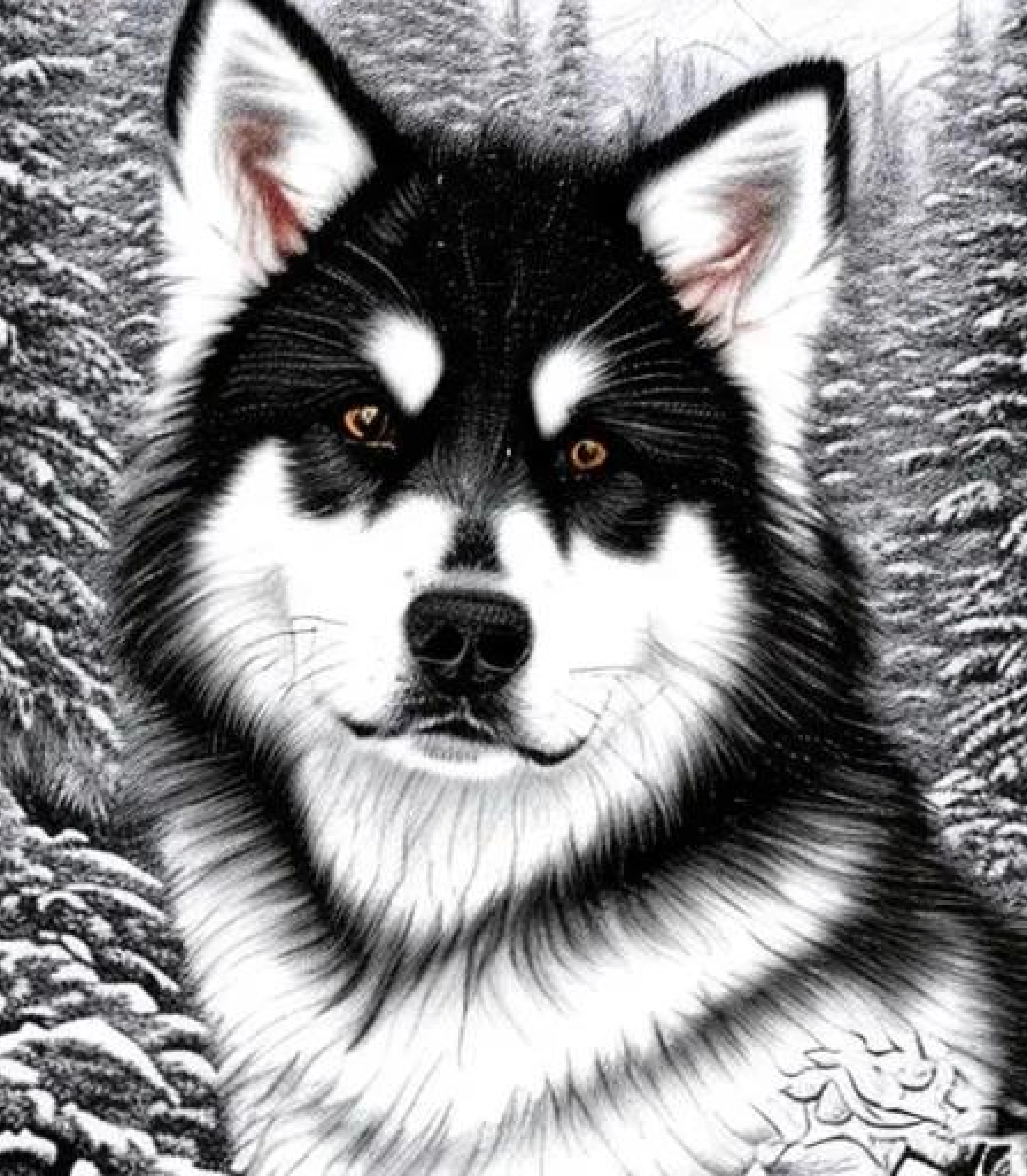 Alaskan Malmute in Realistic Pencil sketch created using AI Draw Alaskan Malmute in Realistic Pencil sketch style created using AI Draw