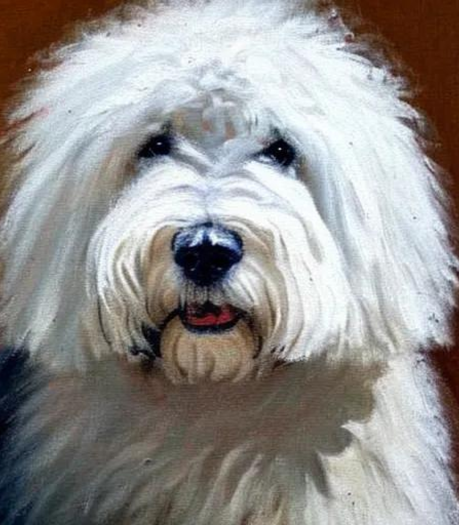 The Old English Sheepdog in Pastel Art style created using AI Draw The Old English Sheepdog in Pastel Art style created using AI Draw