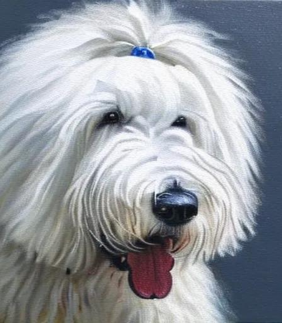 The Old English Sheepdog in Acrylic style created using AI Draw The Old English Sheepdog in Acrylic style created using AI Draw
