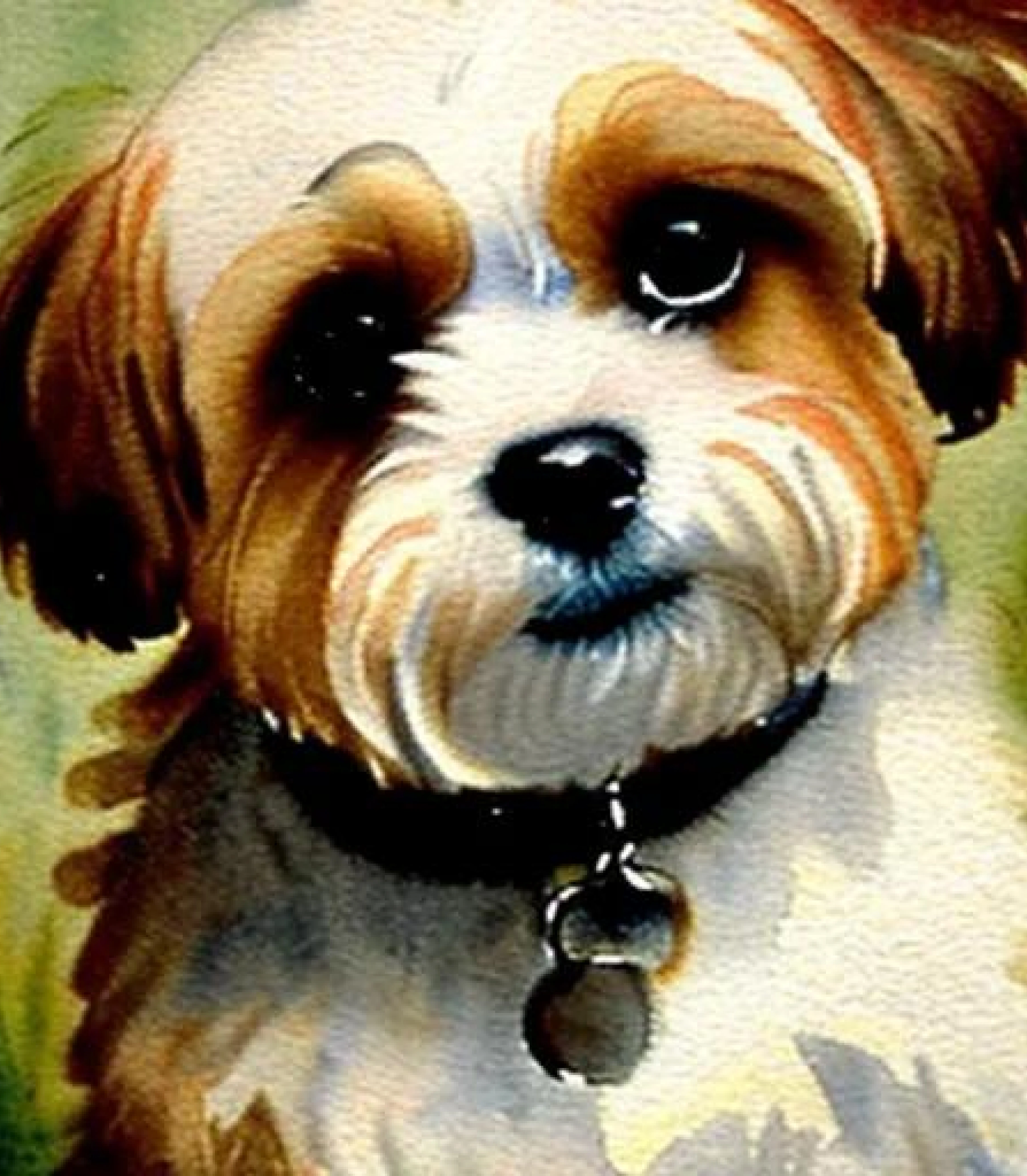 Shih tzu in Water Colour style created using AI Draw our online AI Art generator Shihtzu in Watercolour painting created using AI Draw our online AI Art generator