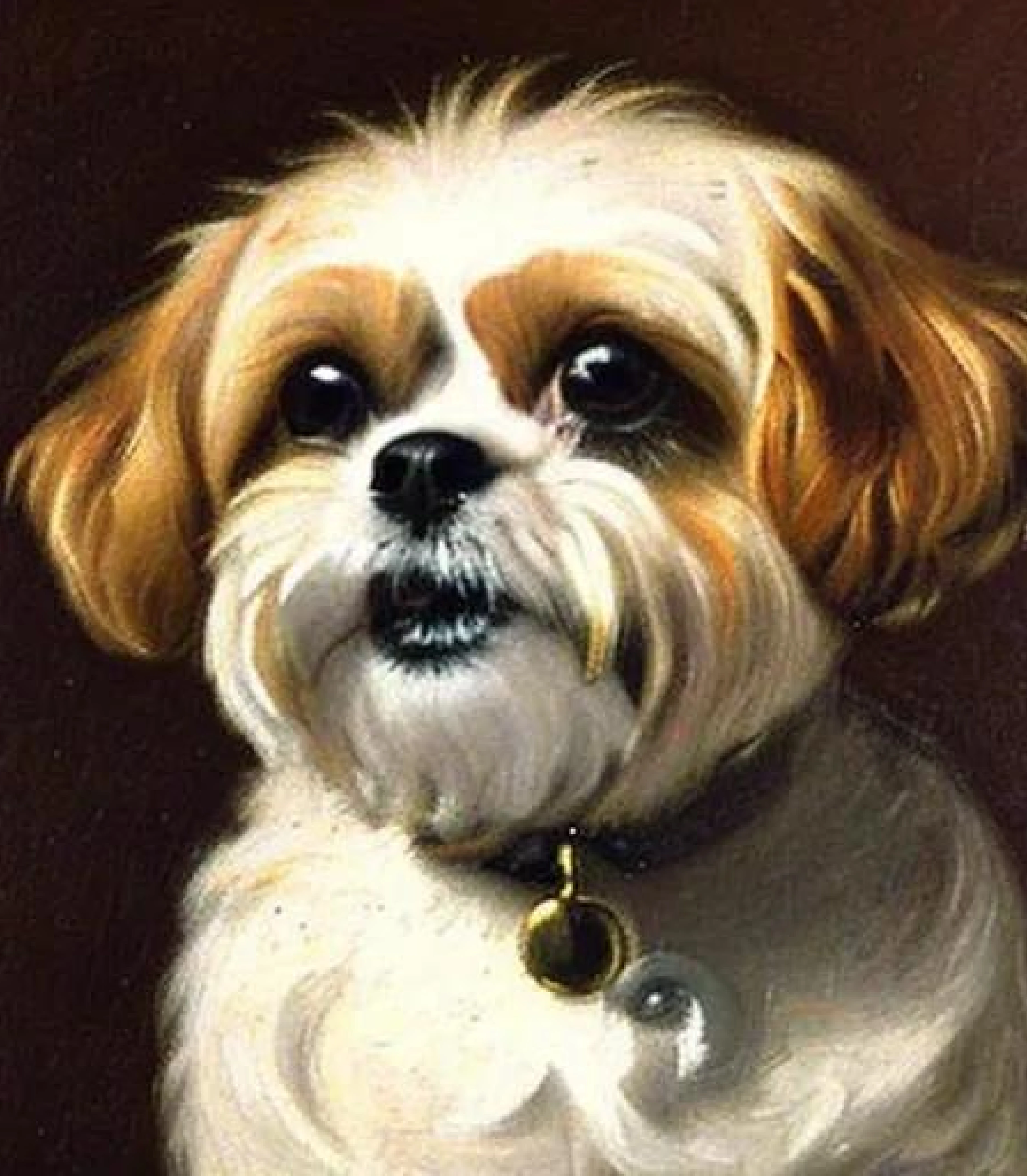 Shih tzu Leonardo renaissance style created using AI Draw our online AI Art generator Shihtzu in Leonardo renaissance painting style created using AI Draw our online AI Art generator