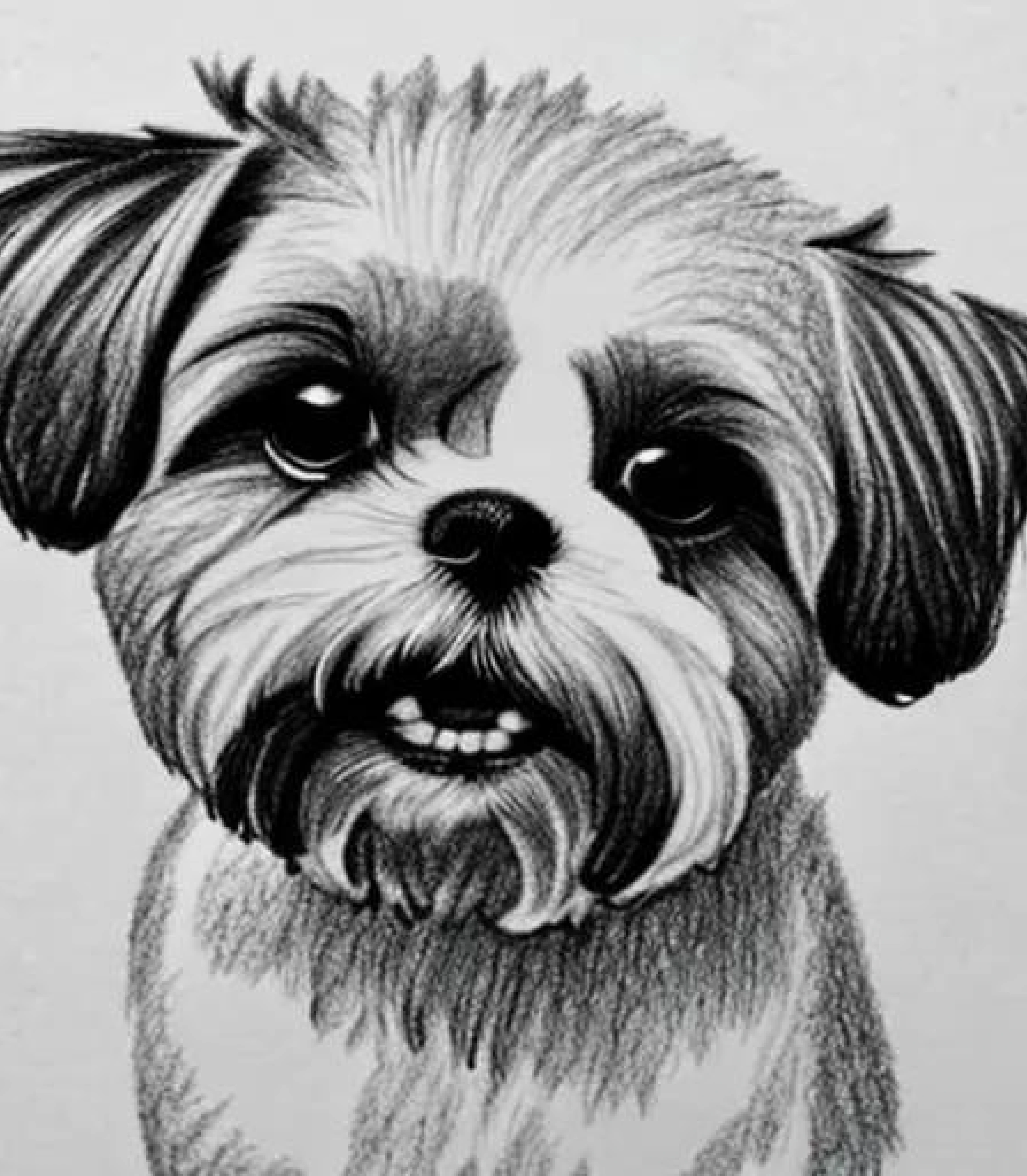 Shih tzu in Realistic Pencil sketch style created using AI Draw our online AI Art generator Shih tzu in Realistic Pencil sketch created using AI Draw our online AI Art generator