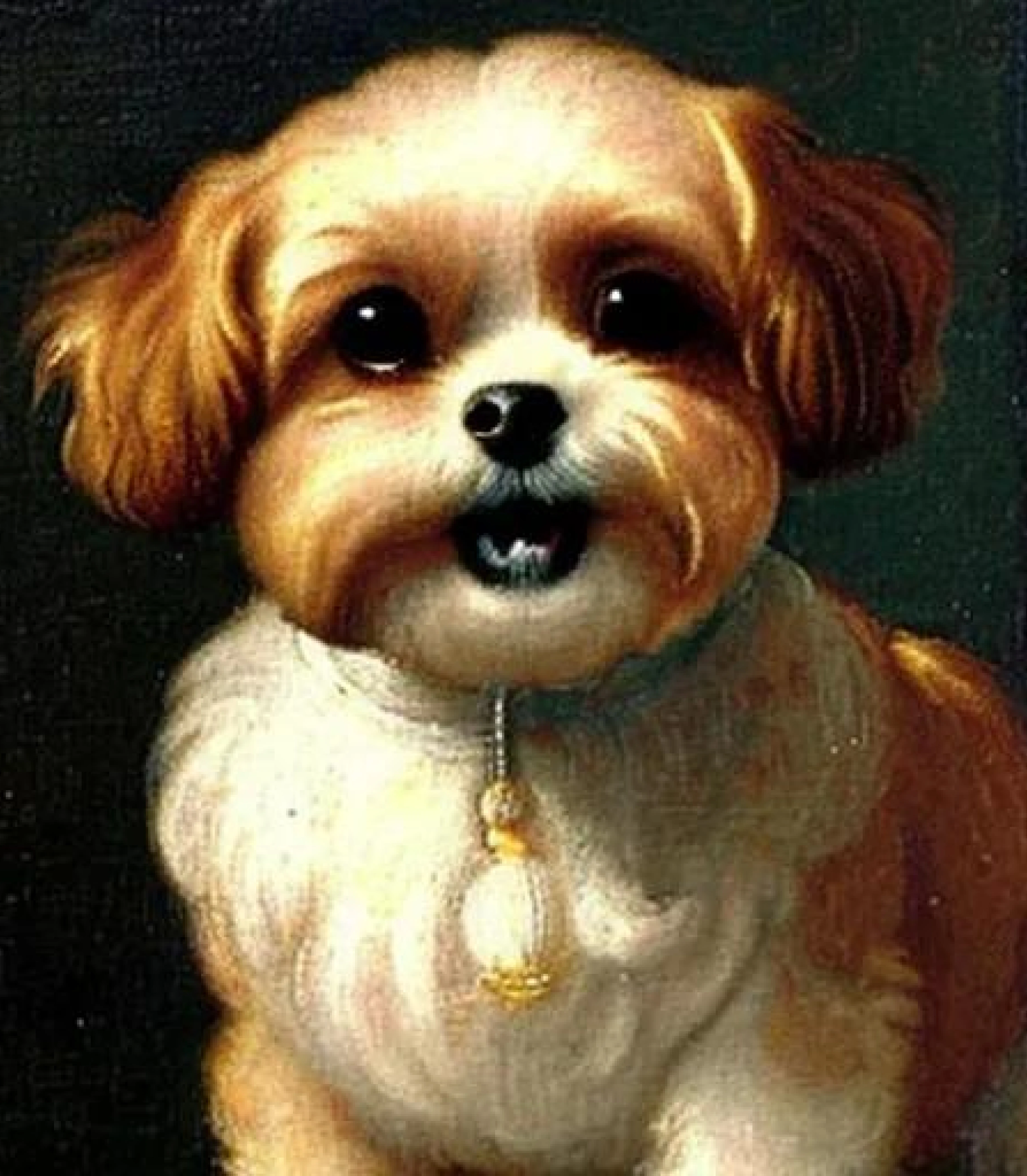 Shih tzu in Medieval painting style created using AI Draw our online AI Art generator Shih tzu in medieval painting style created using AI Draw our online AI Art generator