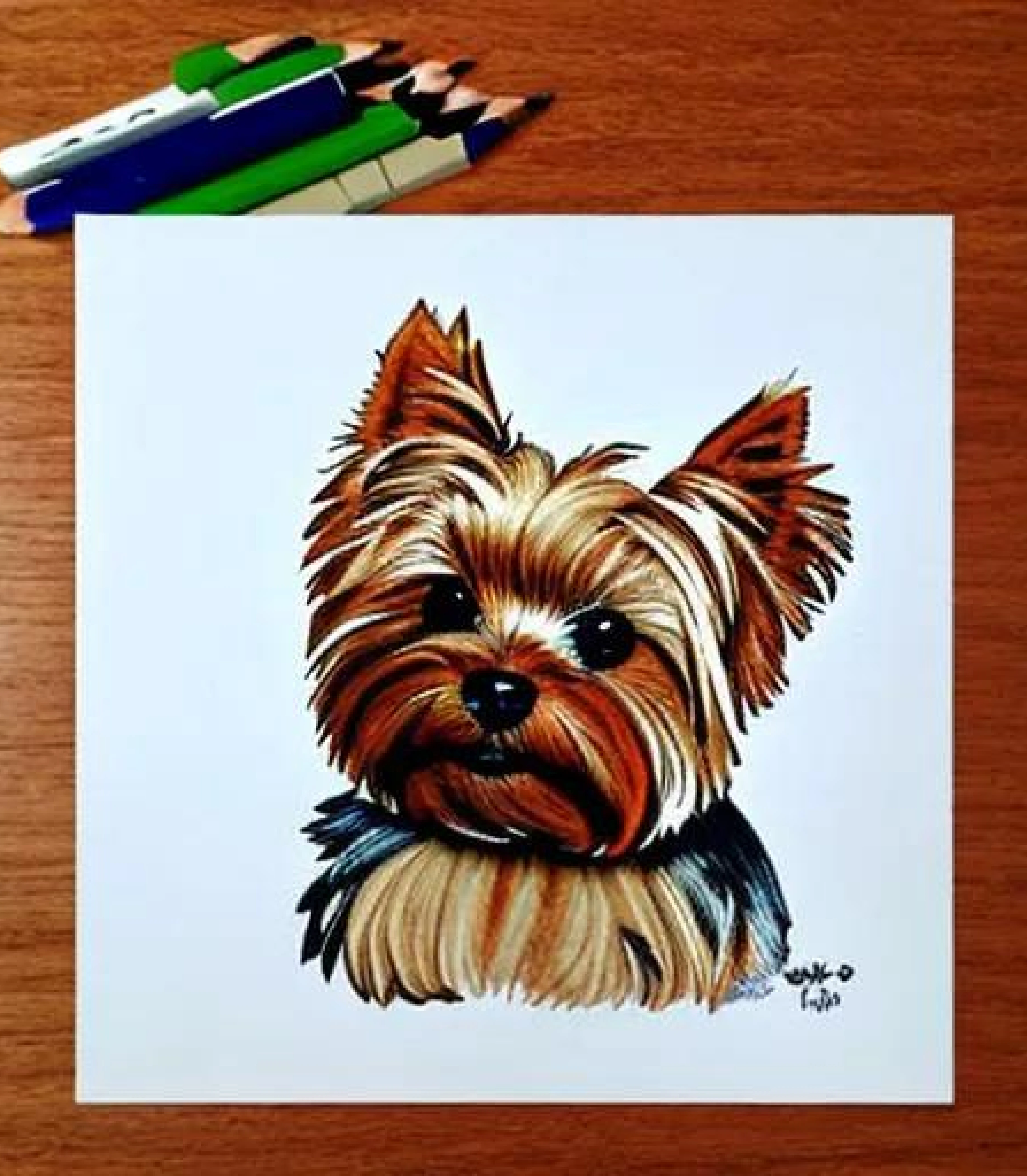 Yorkshire terrier in Coloured pencil sketch created using AI Draw our online AI Art generator Yorkshire terrier in Coloured pencil sketch created using AI Draw our online AI Art generator
