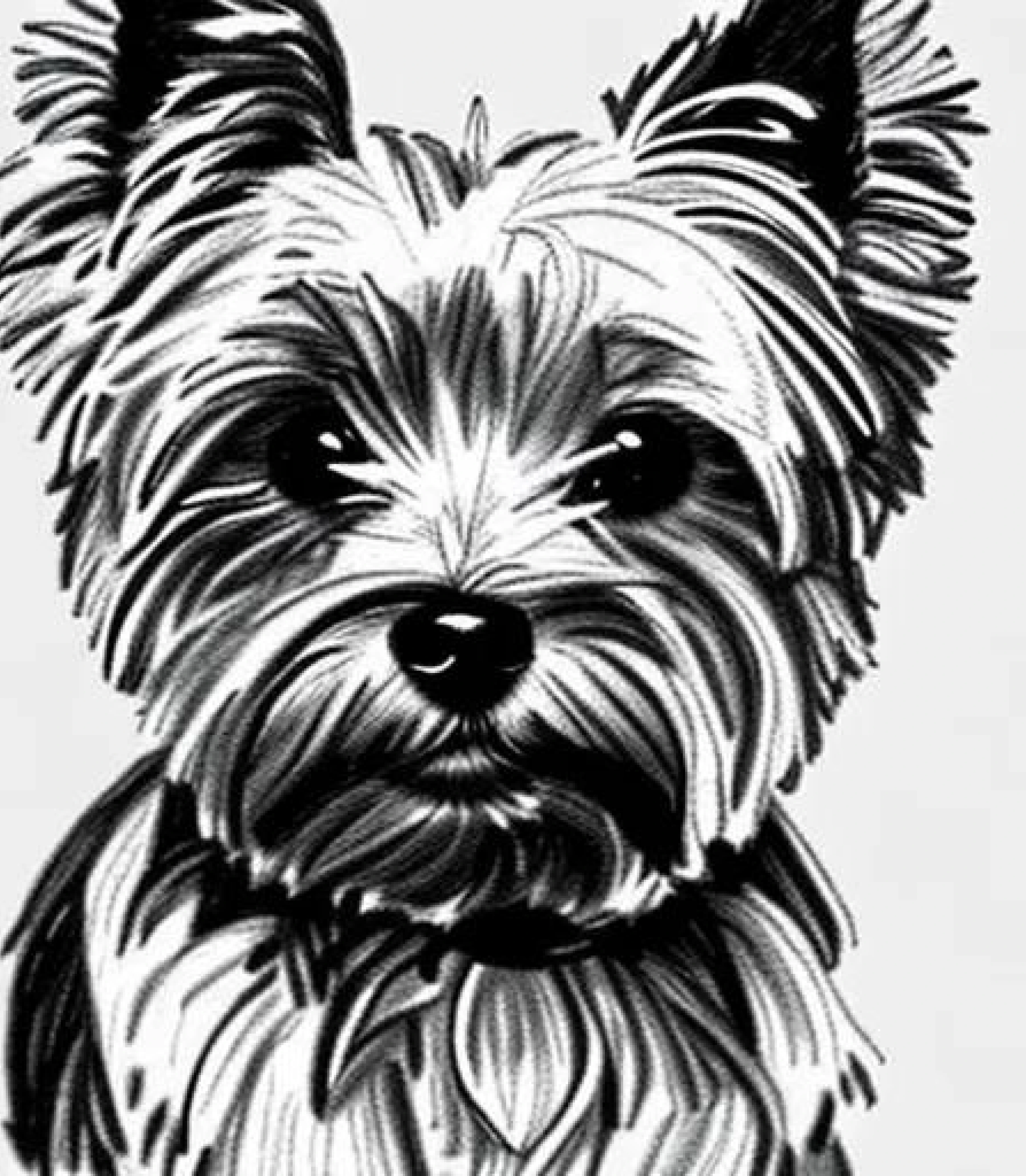 Yorkshire terrier in Realistic Pencil sketch style created using AI Draw our online AI Art generator Yorkshire terrier in Realistic Pencil sketch created using AI Draw our online AI Art generator