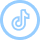 TikTok Logo Link